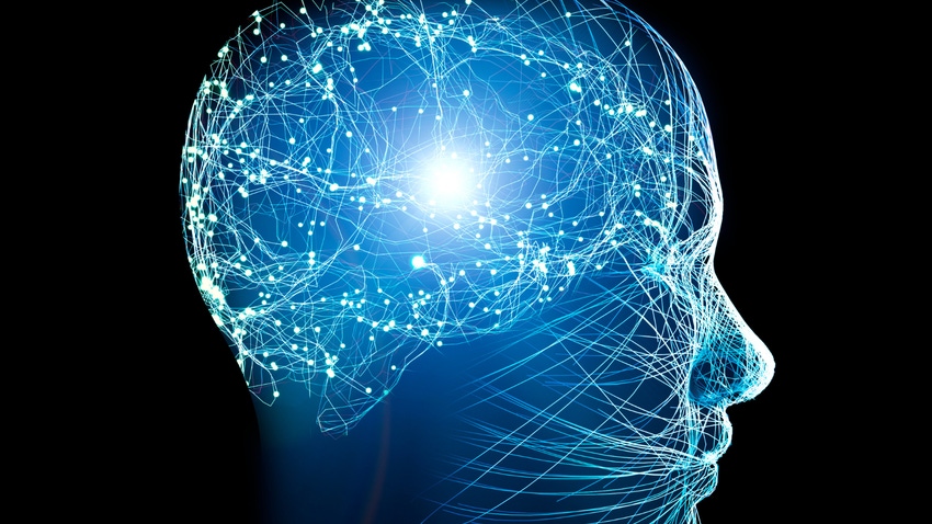未来的生物计算机将在经过AI训练的脑细胞上运行